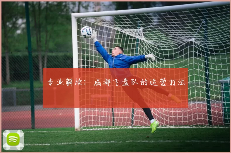 专业解读：成都飞盘队的运营打法