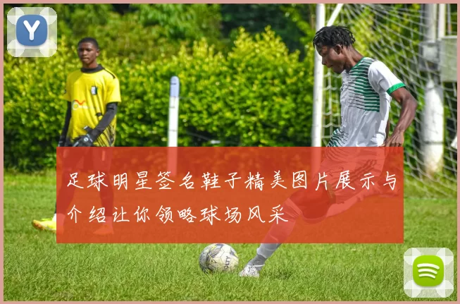 足球明星签名鞋子精美图片展示与介绍让你领略球场风采